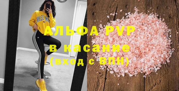 ECSTASY Ветлуга