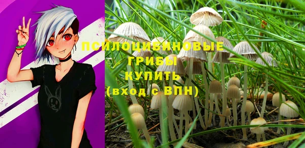 ПСИЛОЦИБИНОВЫЕ ГРИБЫ Надым