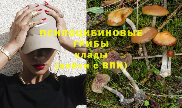 ПСИЛОЦИБИНОВЫЕ ГРИБЫ Надым