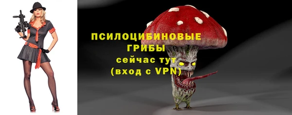ПСИЛОЦИБИНОВЫЕ ГРИБЫ Надым
