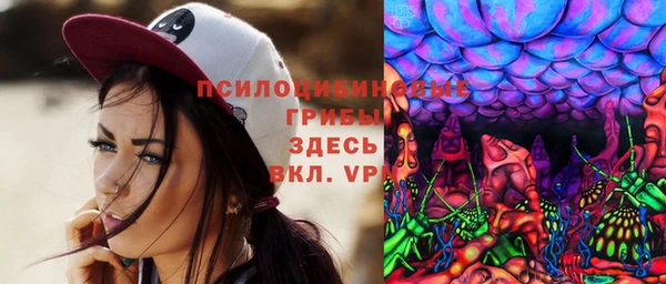ПСИЛОЦИБИНОВЫЕ ГРИБЫ Надым